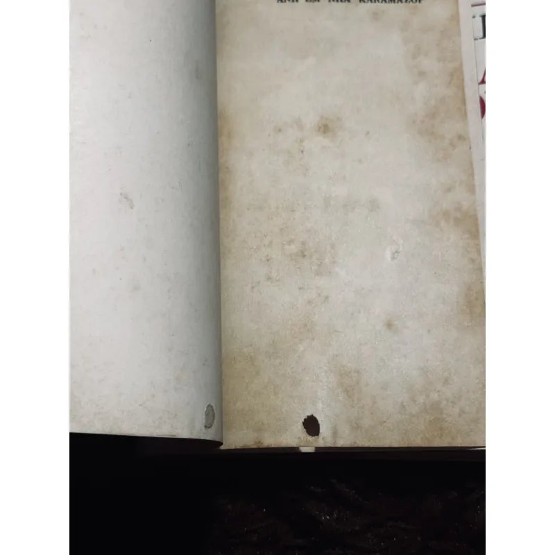 Combo Dos: Anh em Karamazov + Đêm Trắng (bao cấp) 1024184