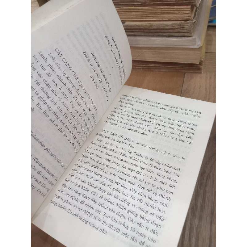 Vườn nhà - Huỳnh Thị Dung, Nguyễn Vũ 994500