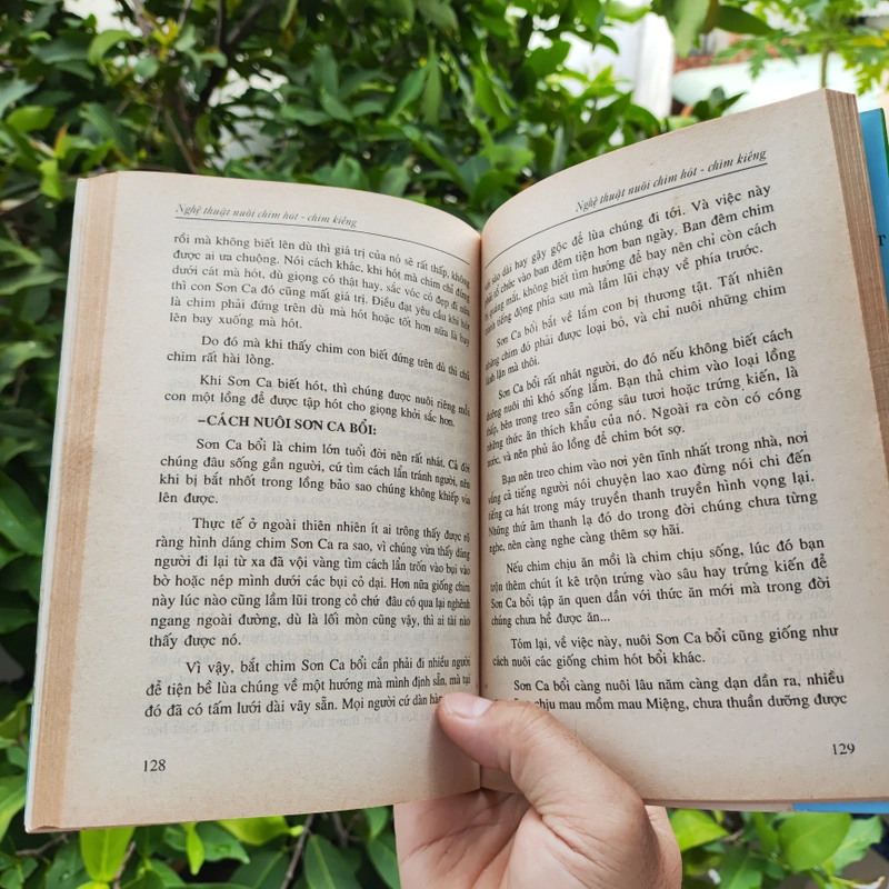 Nghệ Thuật Nuôi Chim Hót - Chim Kiểng 532116