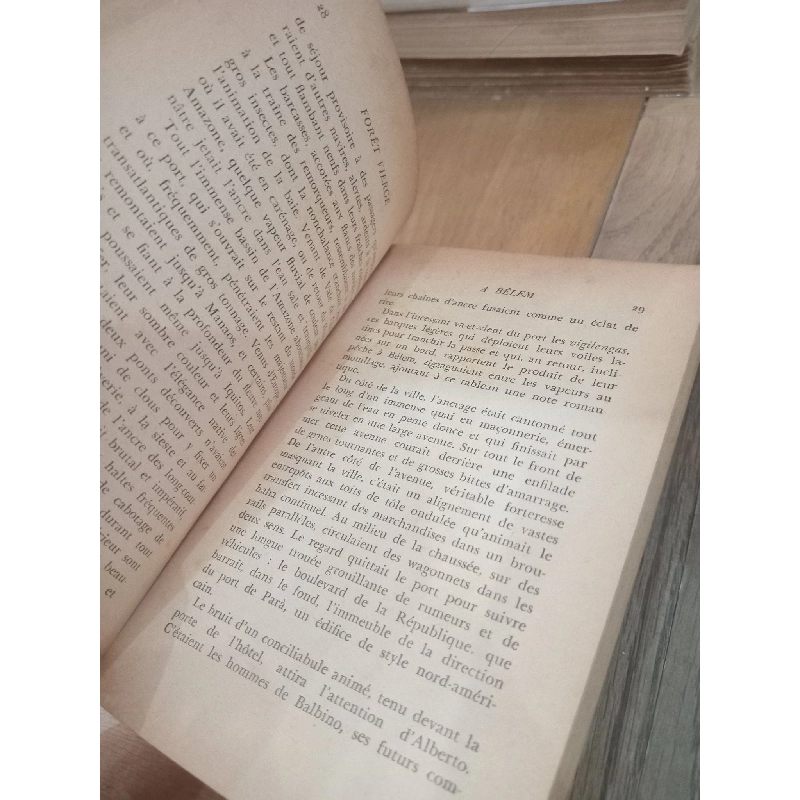 Forêt vierge - Ferreira de Castro 1011034