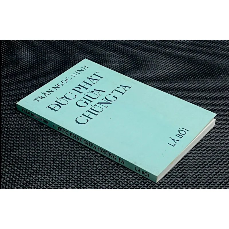 ĐỨC PHẬT GIỮA CHÚNG TA - TRẦN NGỌC NINH 1022037