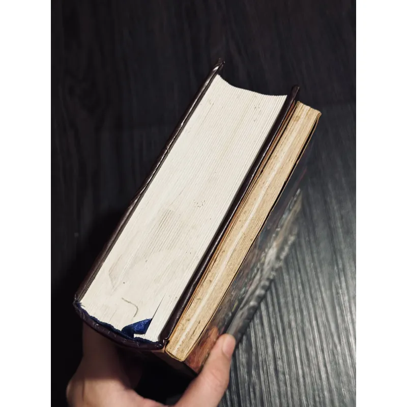 Combo 2c sách về mỹ thuật 745077