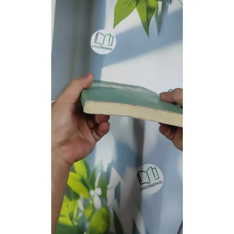 Gió Lẻ Và 9 Câu Chuyện Khác - Nguyễn Ngọc Tư 798456