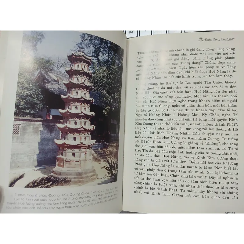 THIỀN TÔNG PHẬT GIÁO 567849