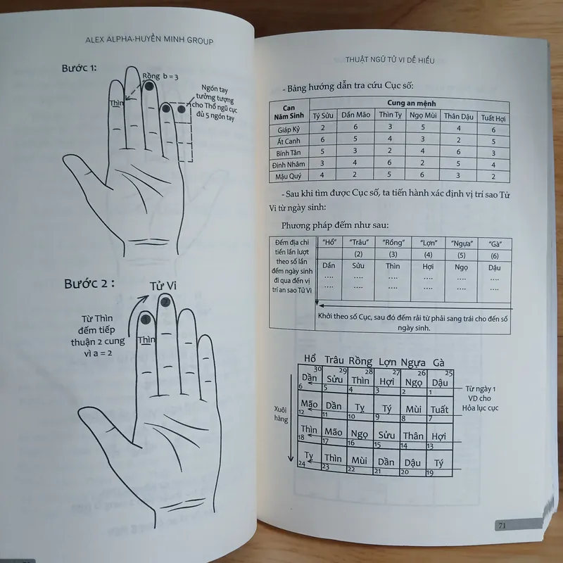 Thuật Ngữ Tử Vi Dễ Hiểu & 72 Đồ Hình Tử Vi Dễ Hiểu - Alex Alpha 562360