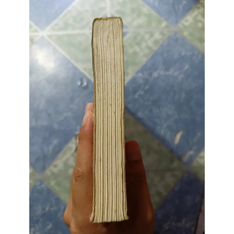 Gió lộng cờ đào ( Cờ nghĩa Tây Sơn) - Mộng Bình Sơn 974078