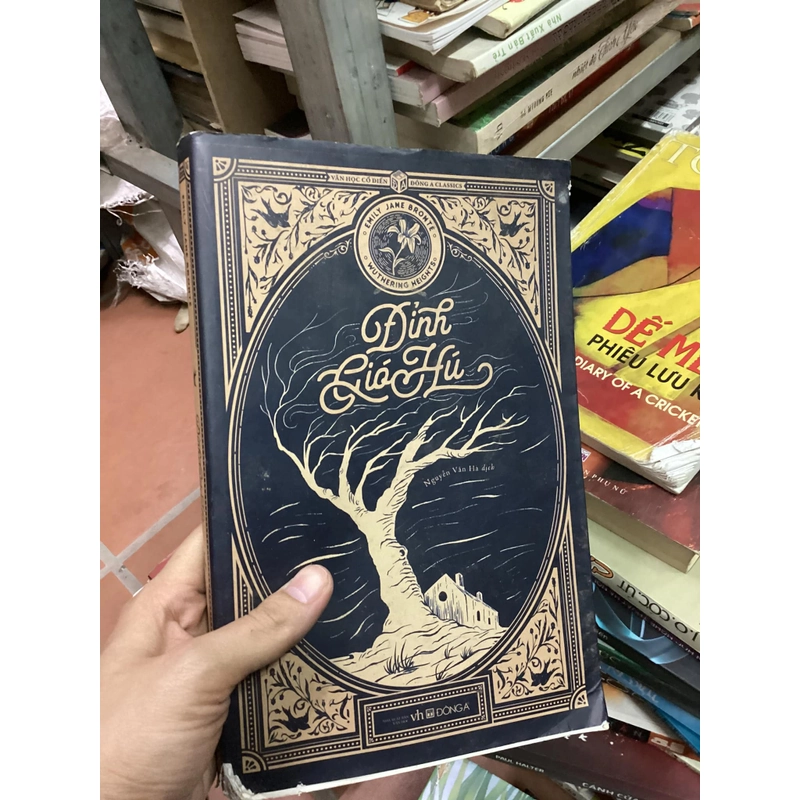 Sách Đỉnh gió hú 312666