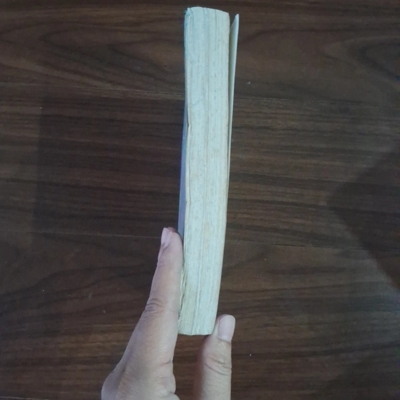 Đường tình đôi ngả 508009