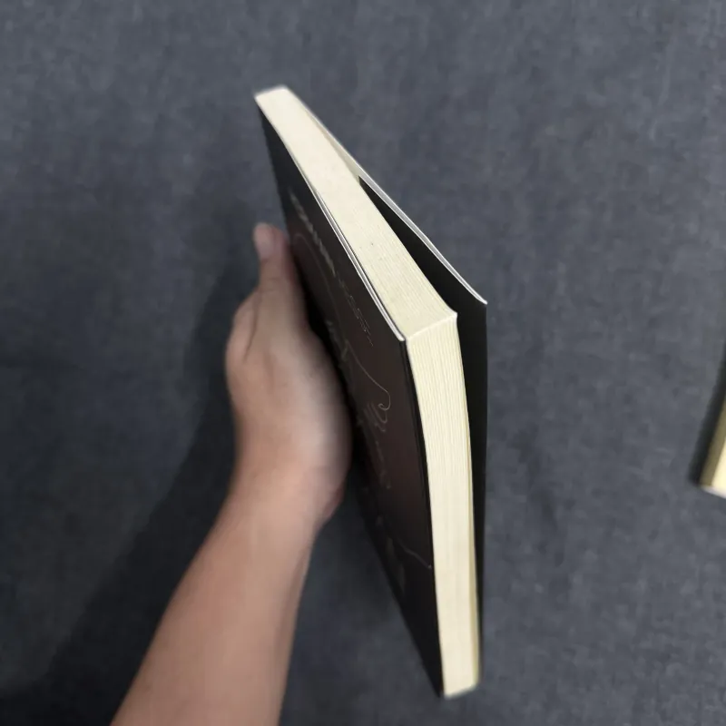 Demian: Câu chuyện tuổi trẻ của Emil Sinclair - Hermann Hesse 763838