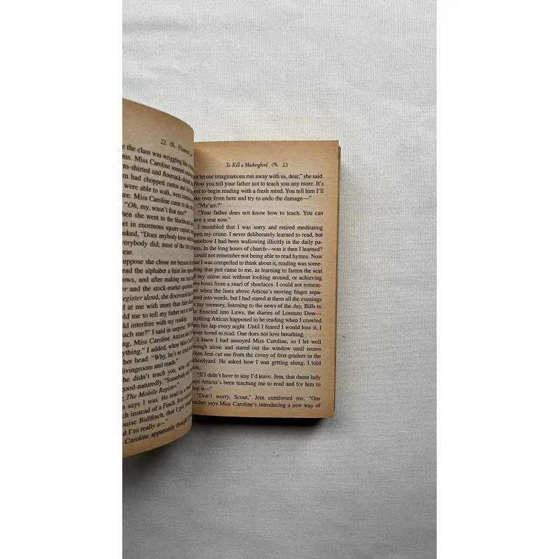 To Kill a Mockingbird - Harper Lee 960736