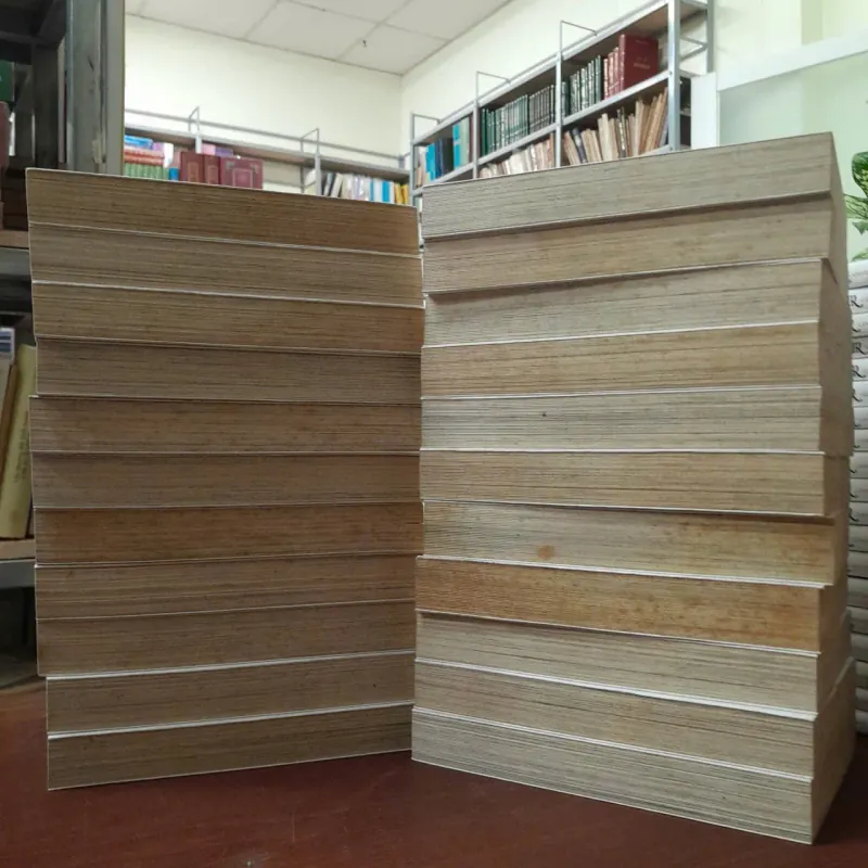 TRUYỆN TRANH INUYASHA - RUMIKO TAKAHASHI (TUYẾT NHUNG DỊCH) 1011521