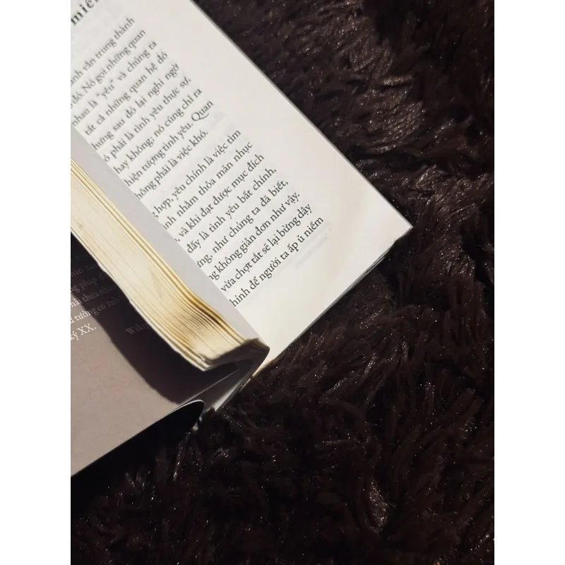 Combo 2c Freud 716754