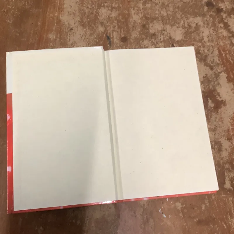 HOUSE FIRES - CONNOR FRANTA 763033