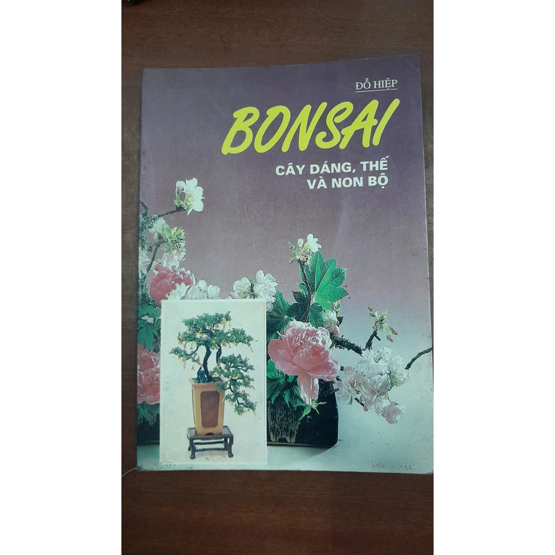 BONSAI CÂY DÁNG, THẾ VÀ NON BỘ 290624