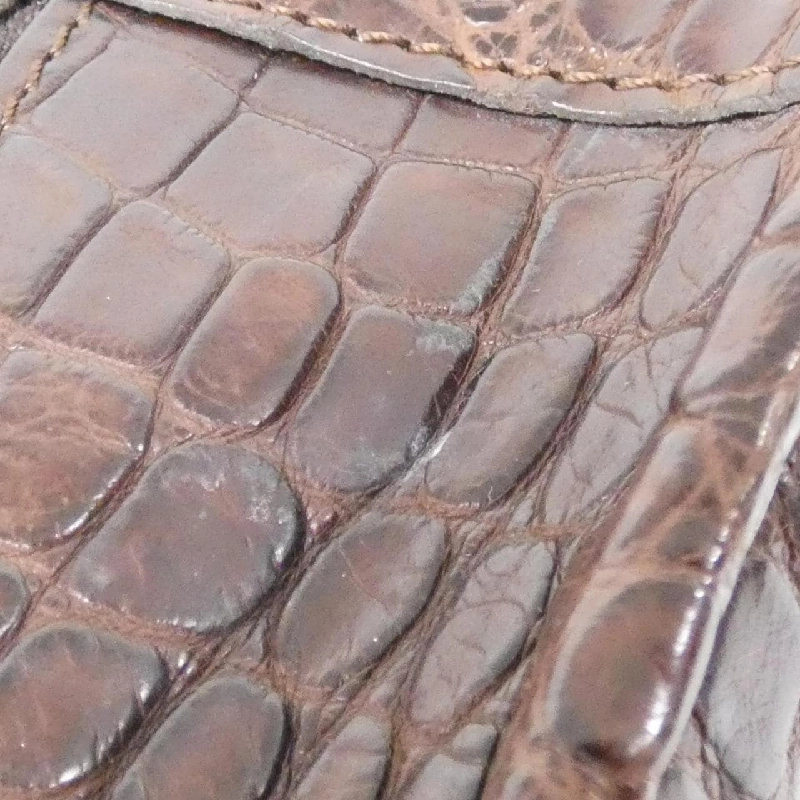 Túi Loewe Amazona 25cm - Hàng hiệu Authentic 769688