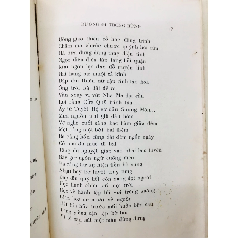 Đường đi trong rừng - Bùi Giáng 126188