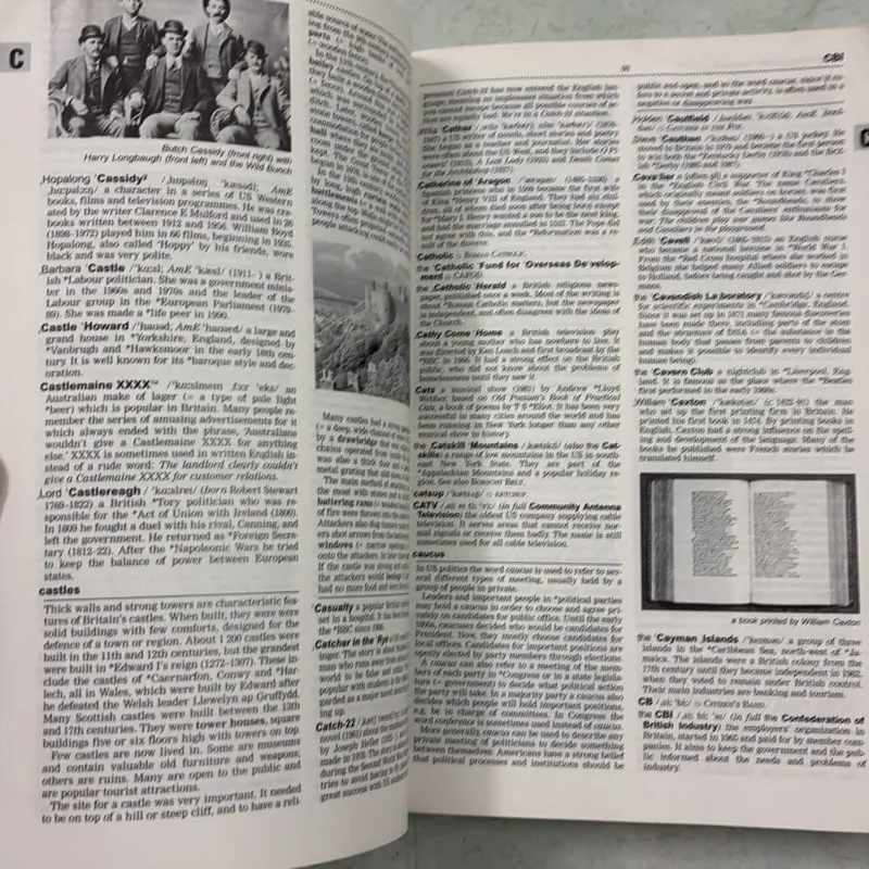 Oxford Guide to British and American Culture 977223