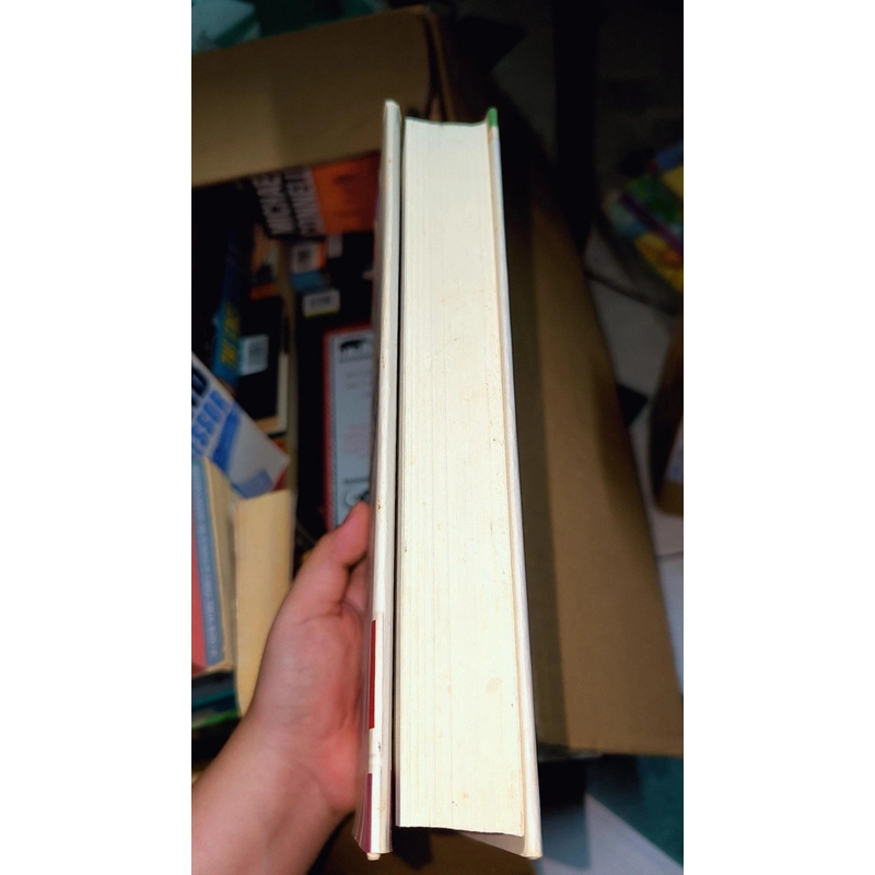 JODI PICOULT - SMALL GREAT THINGS (khổ lớn, bìa cứng, rất nặng) 497190