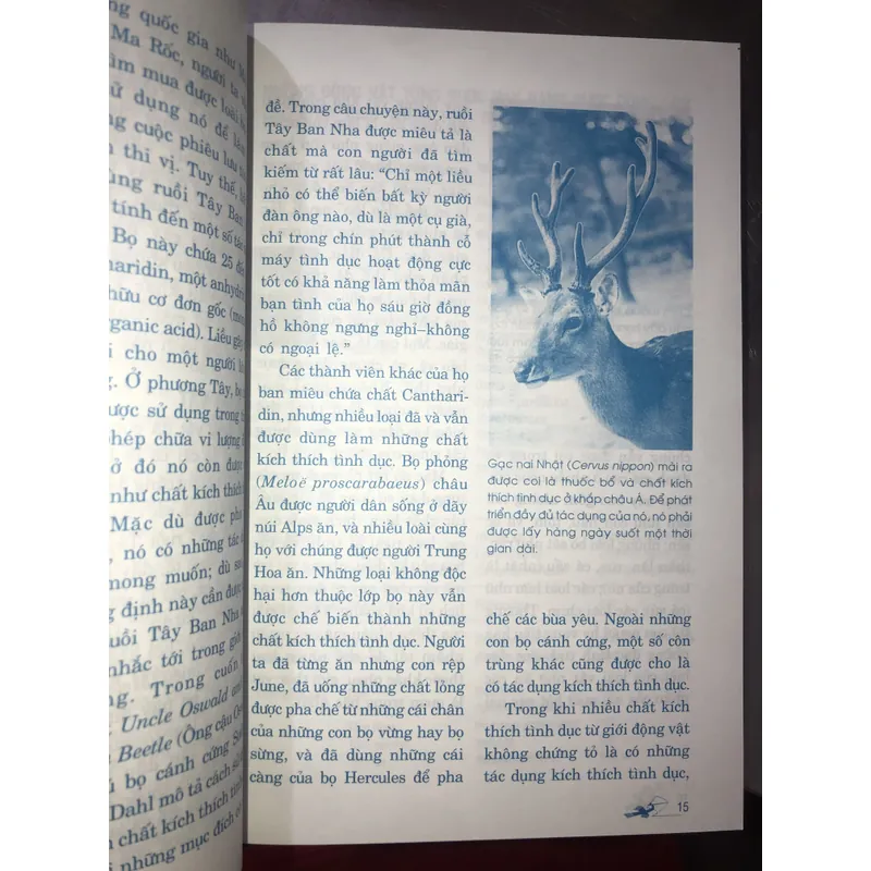 Thảo dược & tình yêu  714029