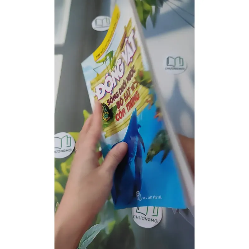 Động vật: Sống dưới nước, bò sát và côn trùng - An Khánh 1018832