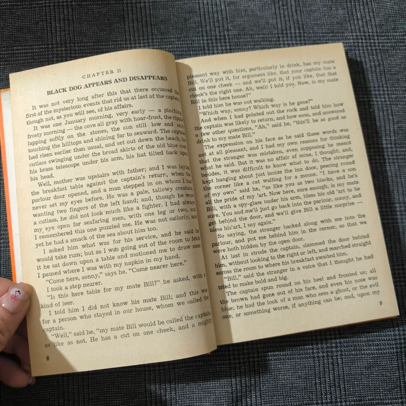 Treasure Island (Hardcover) - Robert Louis Stevenson - Classics 791347