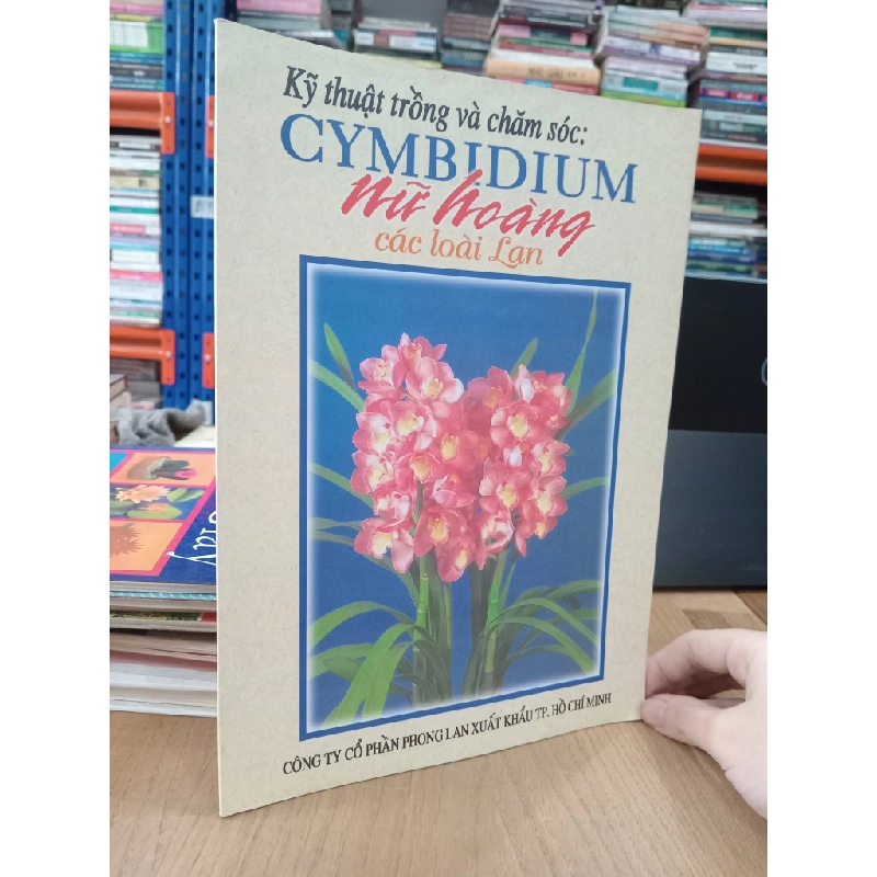 Kỹ thuật trồng và chăm sóc: Cymbidium nữ hoàng các loài lan 536817