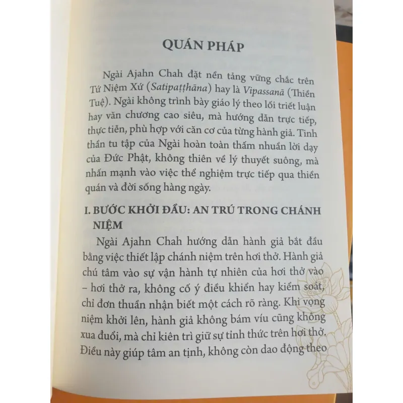Tứ Niệm Xứ - Hành Trình Minh Sát Qua Các Phương Pháp Thiền 796147