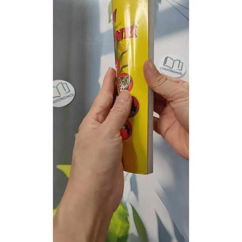 Cao Ly Đầu Hình 775958