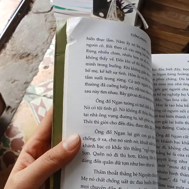 Cuồng Phong- Nguyễn Phan Hách 775847