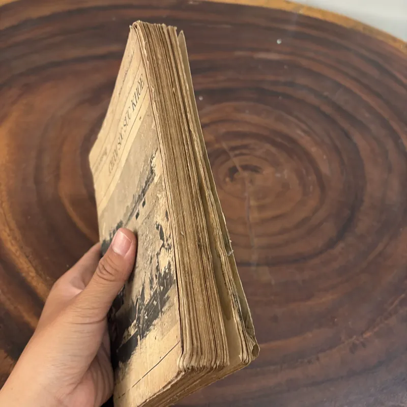 II Sức Khoẻ: Chăm Sóc Sức Khoẻ - DAVID WERNER - 1983 1010438