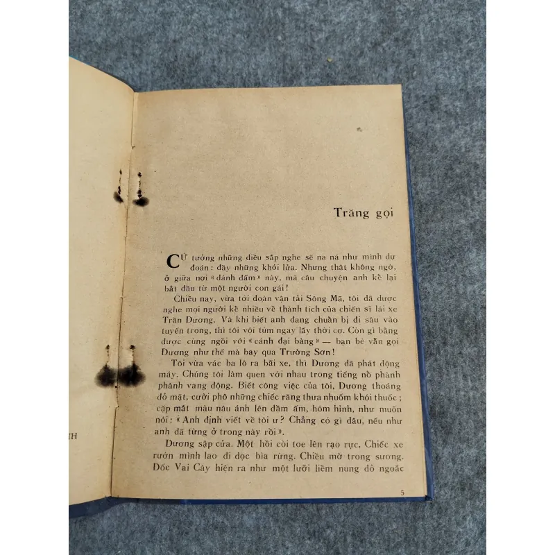 THÁC RỪNG - THAO TRƯỜNG 606657