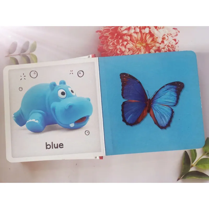 Baby's First Colours 961424