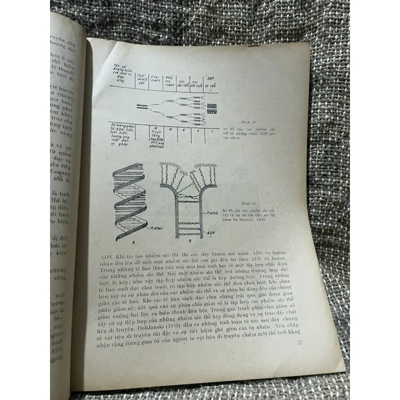 Virus (virut) học - sách dịch từ tiếng Nga - gần 250 trang khổ lớn  1018612