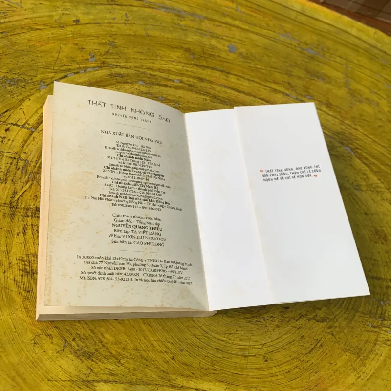 THẤT TÌNH KHÔNG SAO - NGUYỄN NGỌC THẠCH 746804