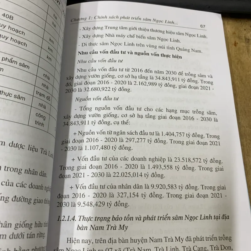 Sâm ngọc linh nguồn dược liệu quý và giải pháp giảm nghèo bền vững. 563956