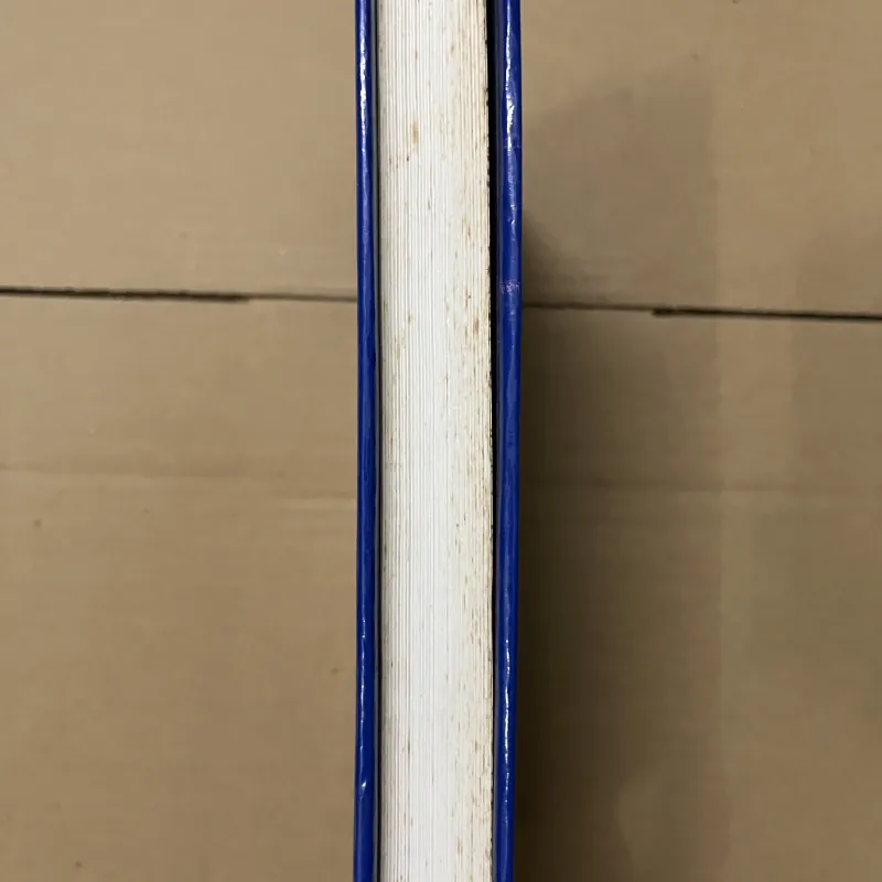 Cô đơn và gắn bó 1019465