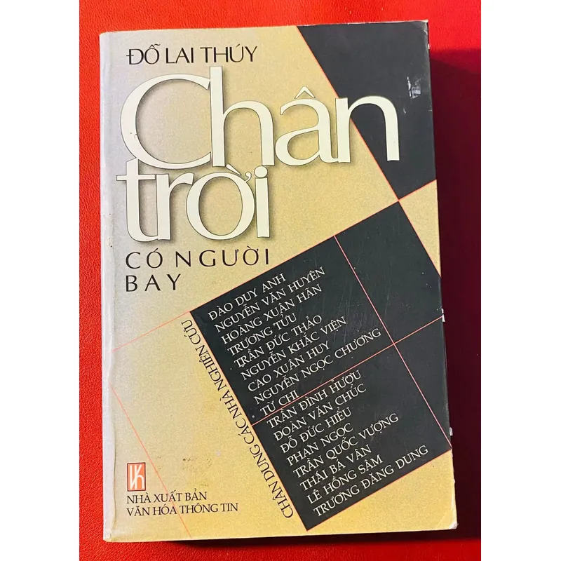 Chân trời có người bay - Đỗ Lai Thúy 590835