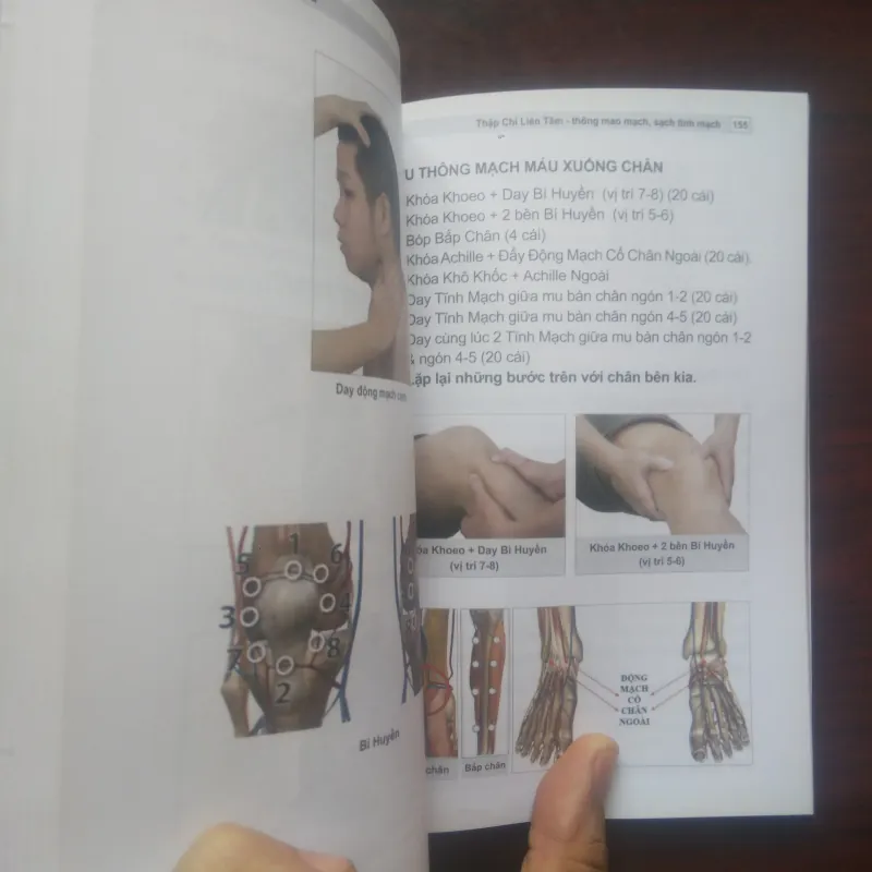 [Sách Y Học] Thập Chỉ Liên Tâm (Dư Quang Châu) Liệu Pháp Y Mao Mạch 933090