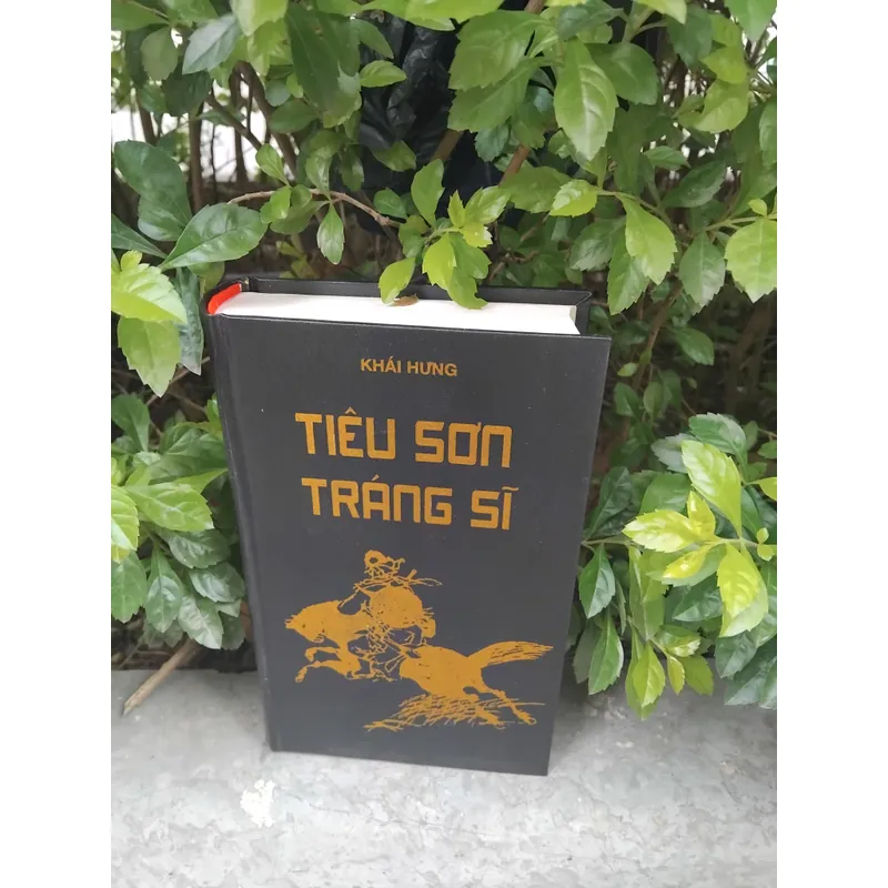 Tiêu Sơn tráng sỹ tiểu thuyết của Khái Hưng  733480