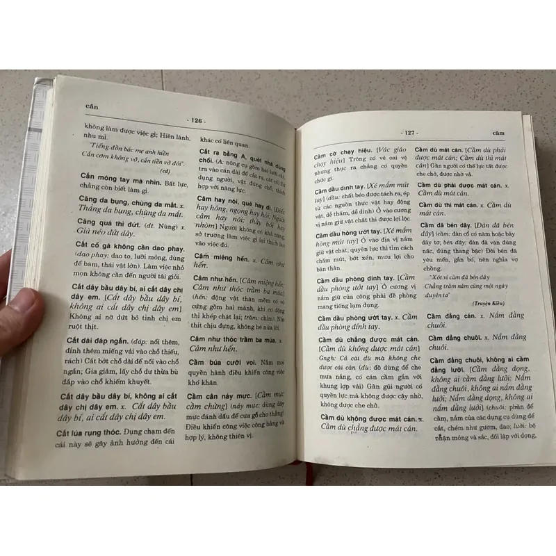 Từ Điển Thành Ngữ và Tục Ngữ Việt Nam 715171