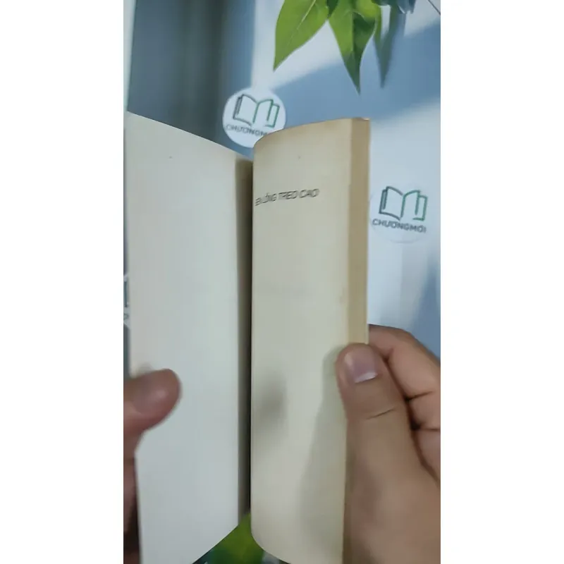 [XƯA] Đèn Lồng Treo Cao (1995) - Nguyễn Thị Châu Giang 798513