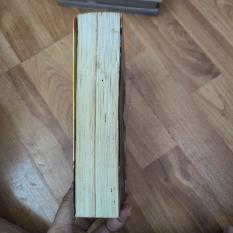 Harry Potter và bảo bối tử thần 531053