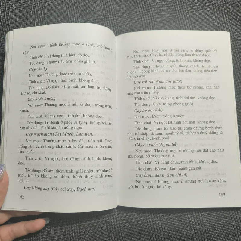 Cẩm nang bách khoa gia đình 606527