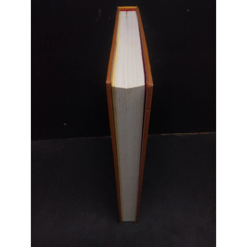 Chu Dịch Dự Đoán Học Dự Đoán Công Danh Thiệu Vĩ Hoa bìa cứng khổ lớn mới 90% bẩn nhẹ 2011 HCM0605 914243