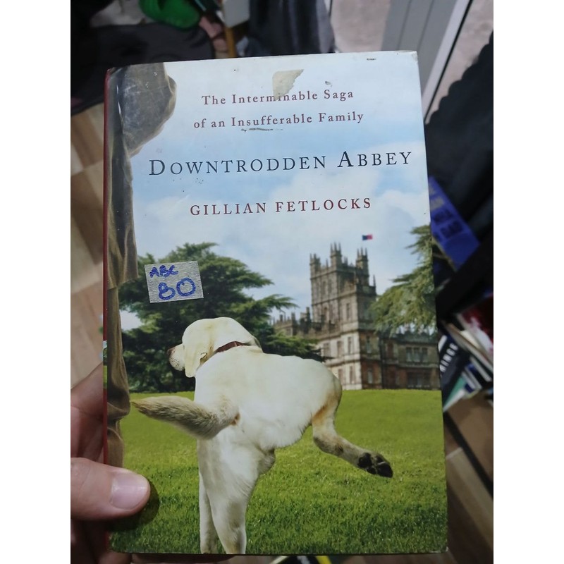 Downtrodden Abbey: The Interminable Saga Of An Insufferable Family - Gillian Fetlocks 60476