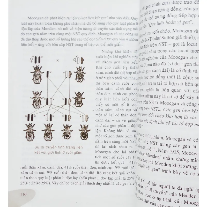 Các nhà sinh học nổi tiếng Việt Nam & Thế giới 15090