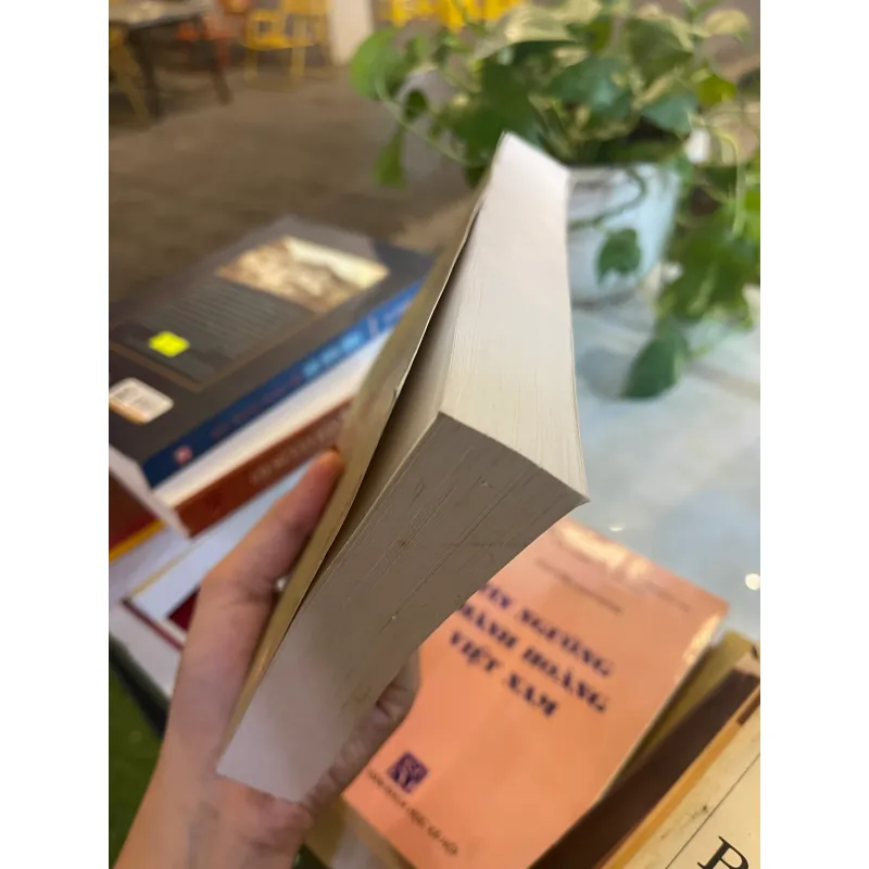 SỰ ĐA DẠNG VĂN HOÁ VÀ ĐỐI THOẠI GIỮA CÁC NỀN VĂN HOÁ MỘT GÓC NHÌN TỪ VIỆT NAM  1027581