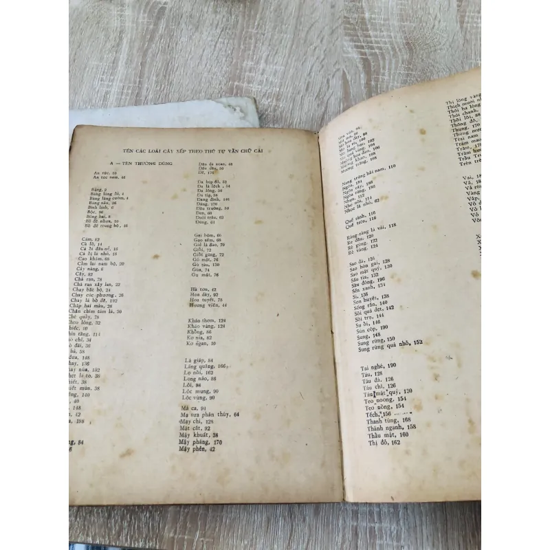 CÂY GỖ RỪNG VIỆT NAM ( tập 2,4,5,6) 956969