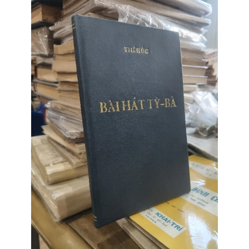 Bài hát Tỳ Bà - Thê Húc hiệu đính và bình chú ( bản sách đóng bìa còn bìa gốc ) 125769