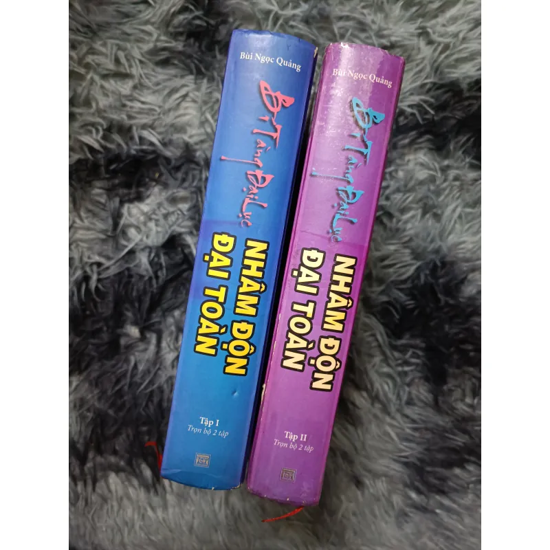 Nhâm Độn đại toàn (Bùi Ngọc Quảng) 925998